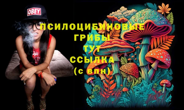 стафф Пересвет